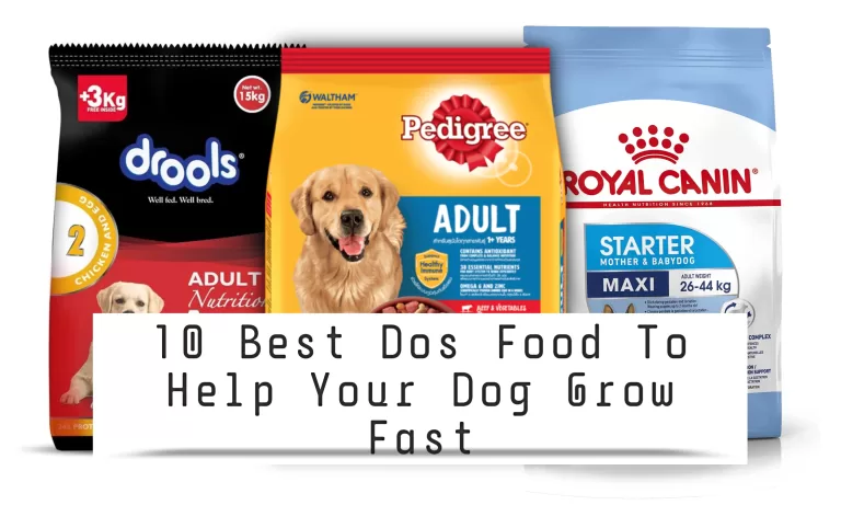 10 Best Dog Foods to Help Dogs Grow Fast
