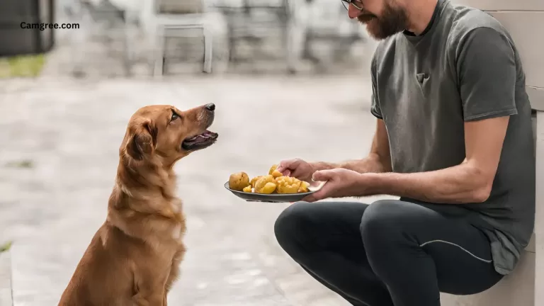Can Dogs Eat Sweet Potatoes?