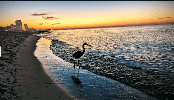 Orange Beach